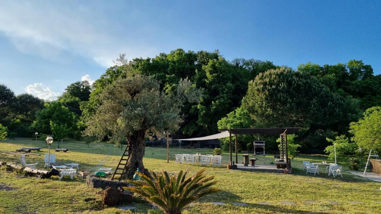 Antico Palmento Dell'Etna Hotel Pedara Bagian luar foto